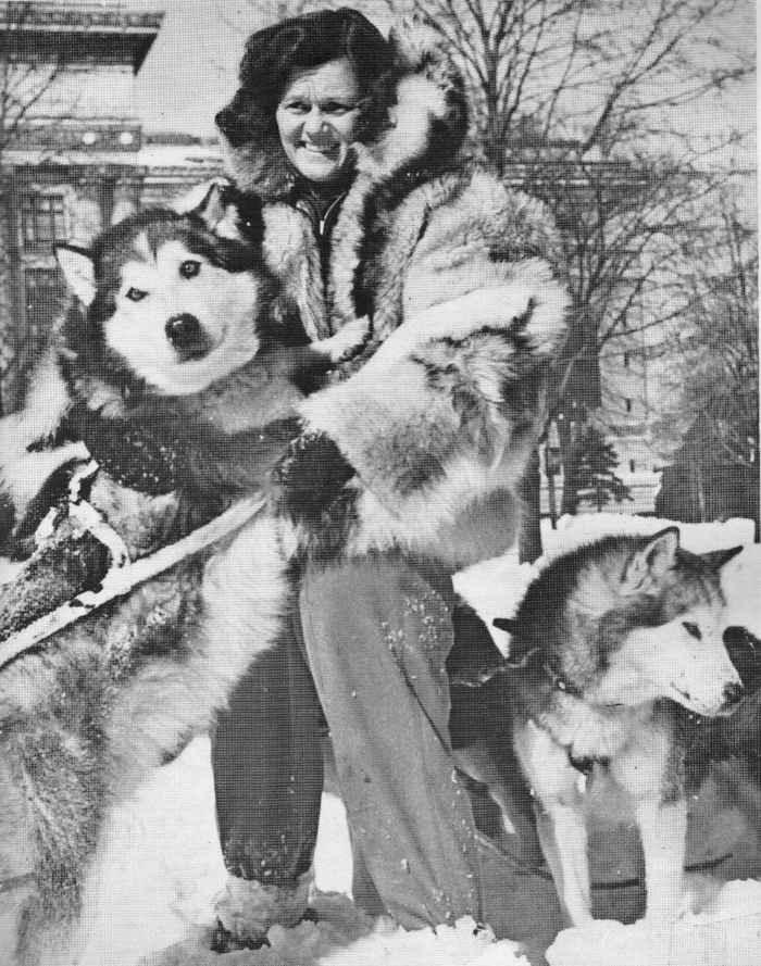 The history of the Alaskan Malamute breed - The different