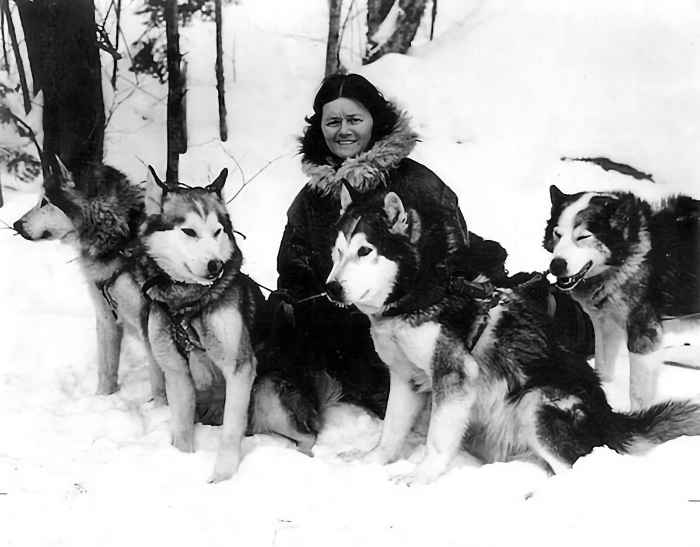 Famous deals alaskan malamutes